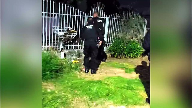 Polícia Civil apreende quase 400 kg de drogas em Cascavel durante Operação Rastreio
