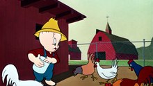 Patolino, Gaguinho e Rocky - Os Ovos de Ouro