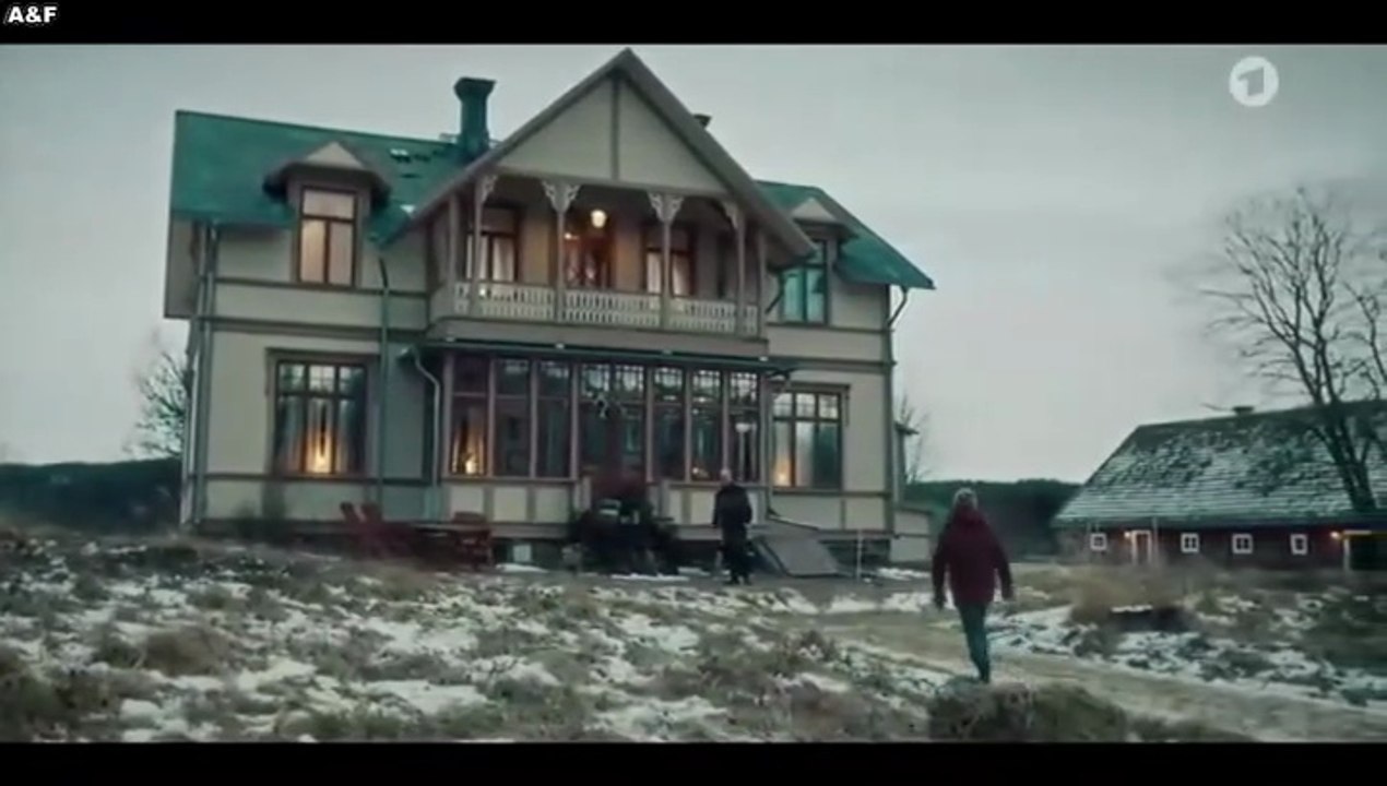 Zielfahnder -03- Polarjagd