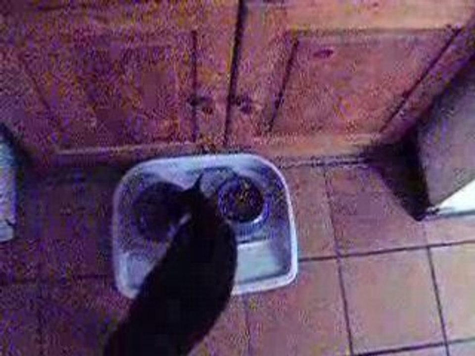pili
