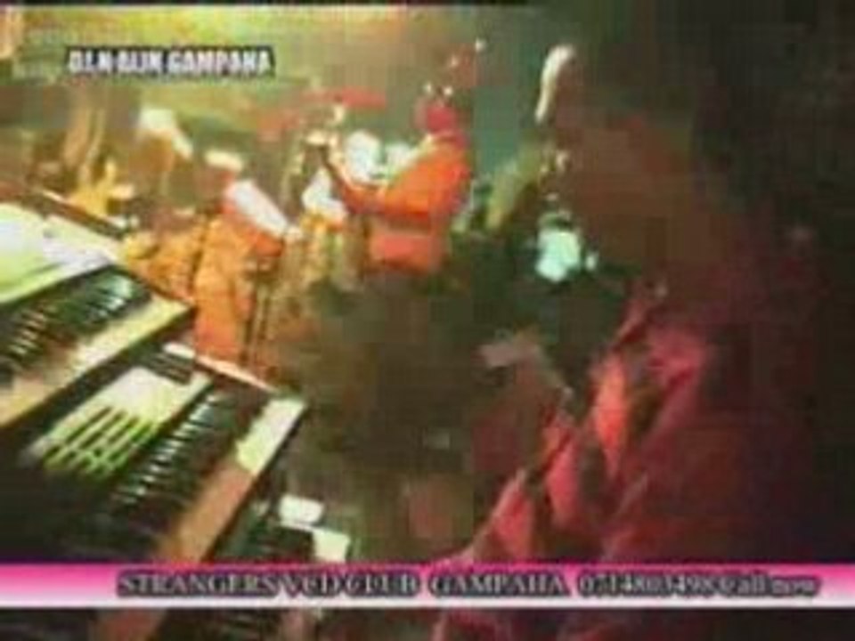 SUNFLOWER1 LIVE SHOW