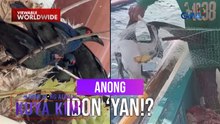 Ibon na nanlilisik ang mata, namataan sa Kalibo, Aklan! | Dami Mong Alam, Kuya Kim!