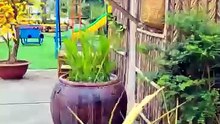 Thi công nhà lá trang trí tết cho các không gian sự kiện ngoài trời - Tre Trúc Ngọc Dương
