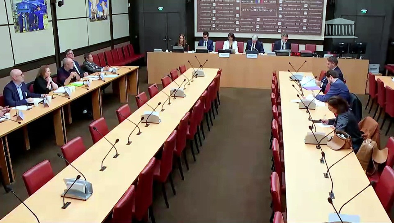 Prédation des capacités productives françaises par les fonds spéculatifs : Représentants de salariés du groupe Atos ; M. Philippe Salle, président-directeur général d’Atos - Vendredi 17 avril 2026