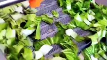 Electric High Efficiency Bubble Cleaning Fruit and Vegetable Machine