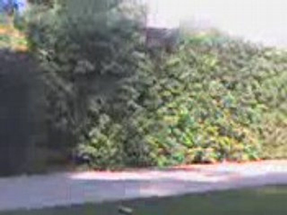 Gage de la danse des canards