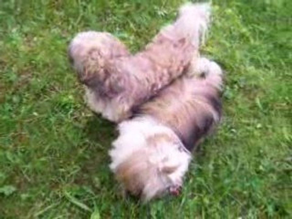 au soleil,pique nique