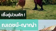 ณเดชน์ ญาญ่า เขยนอร์เวย์กับสะใภ้ขอนแก่น เซิ้งยับม่วนคักในงานแต่ง