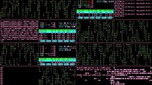 Coding_Free_Stock_Video_Footage___Code_Stock_Footage___Coding_No_Copyright_Video(0)