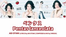 AOI Otani - Pentas laceolata Lyrics // 大谷碧空 白倉碧空 「ペンタス 」 歌詞 (KAN/ROM/ENG)