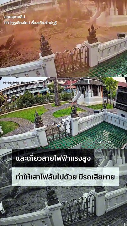 ระทึก ! กิ่งต้นยางนายักษ์ อายุกว่า 226 ปี หักโค่นกลางวัดเจดีย์หลวง