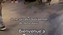La France est belle 🐑