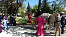 DESFILE DE CABALLOS Y CARRUAJES