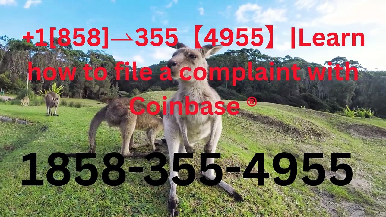 ~YY【Anytime⋉अ:】℠ [*List] of Coinbase Toll Free nUmbers in the USA: The Ultimate Explained Guide
