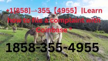 【LIkE&Shere】℠ [*List] of Coinbase Toll Free nUmbers in the USA: The Ultimate Explained Guide