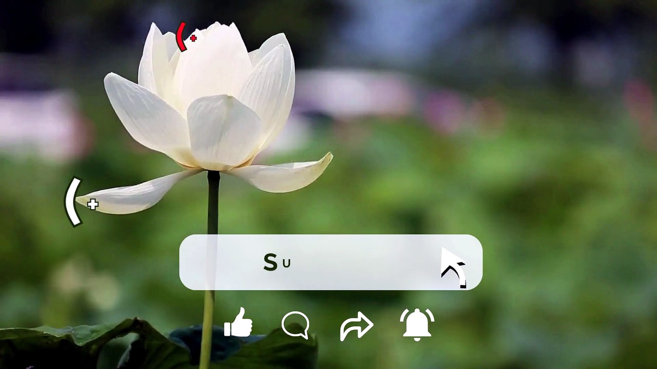 Anytime】】= 〖Coinbase® 〗Toll free© helpline® Numbers Contact⁂ (24/7) Live Person Care)(+1-858⭌355⭌4955)