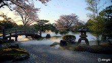 Jardin Zen Japonais • Pétales & Brume • Musique Relaxante pour Se Détendre
