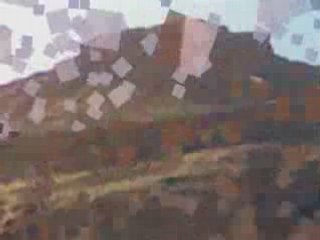 PHOTO DANS EDDIS O.S.B
