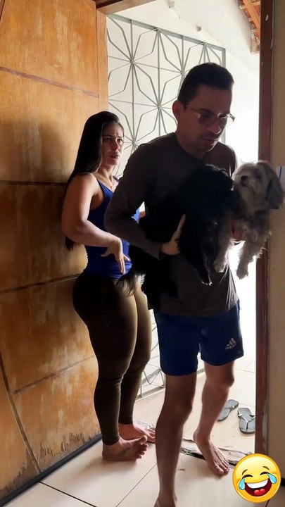 Levando o cachorro pra fazer cocô 🐶🐶💩💩#omelhorsoaoscomentarios #engraçado #engraçados #comentarios #comentários