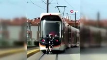 Tramvayın Arkasında Tehlikeli Yolculuk