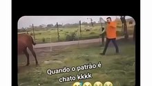 Quando o patrão é chato 🐎🐎🐎#omelhorsoaoscomentarios #engraçado #engraçados #comentarios #comentários