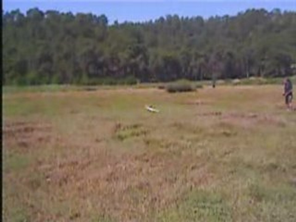 RC plane Bicir