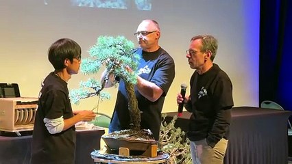 Montrond-les-Bains : le Congr&egrave;s National du Bonsa&iuml; met la Loire &agrave; l&rsquo;heure japonaise
