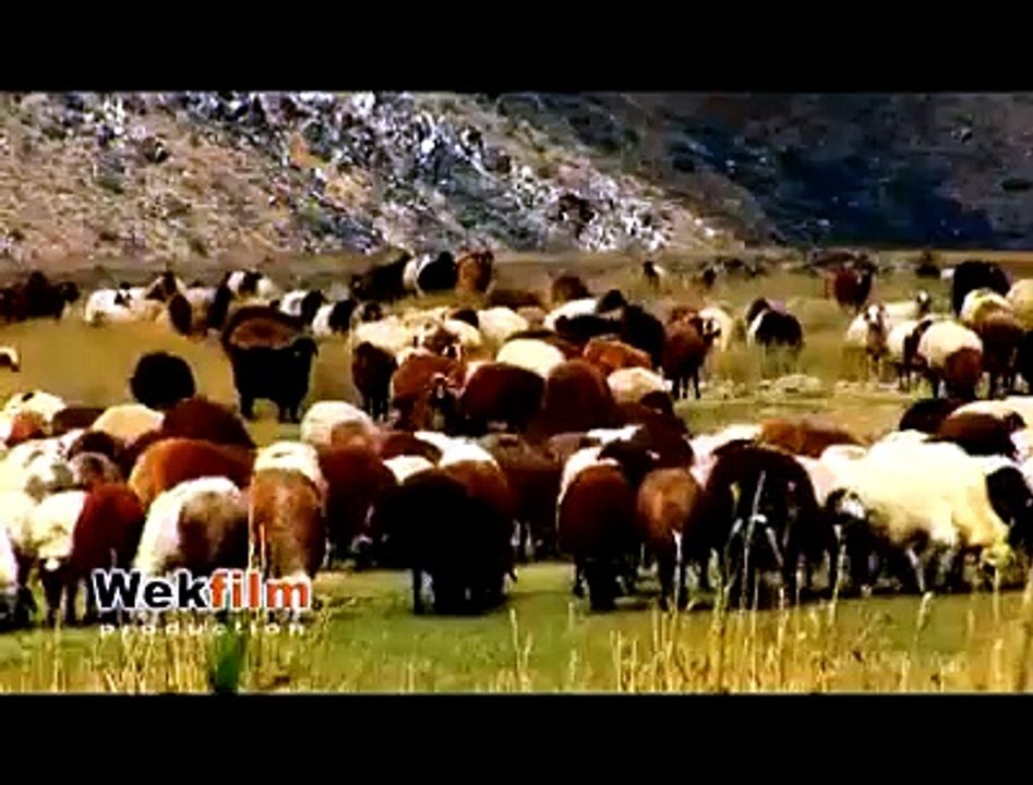Yunuse Agıri - Baro