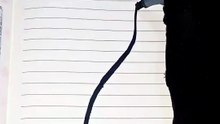 🌿 This Drawing Will Relax Your Mind 😌🌿 #shorts #satisfying