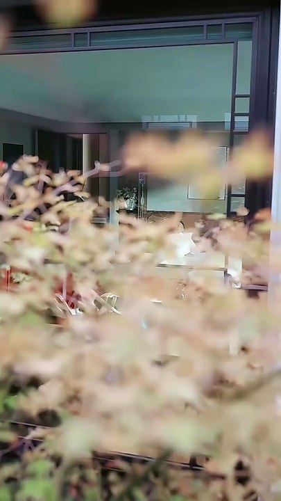 Crowned In Plain Sight - From Shadows To Supreme Power Isode