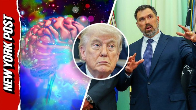 Veterans describe to Trump their psychedelic drug experiences in treating PTSD