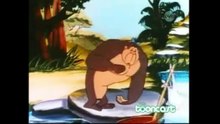 Assistir Hora Acme – Dublado – Episódio 02