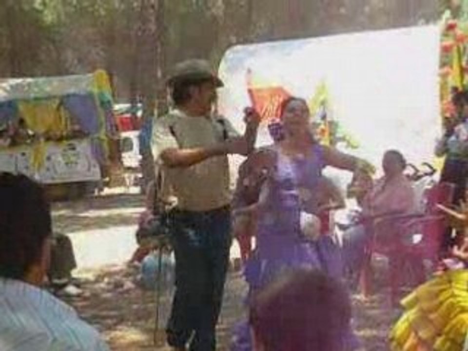 Romeria 2008 al campo