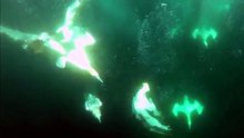 GANNET BIRDS-RULER IN AIR AND OCEAN