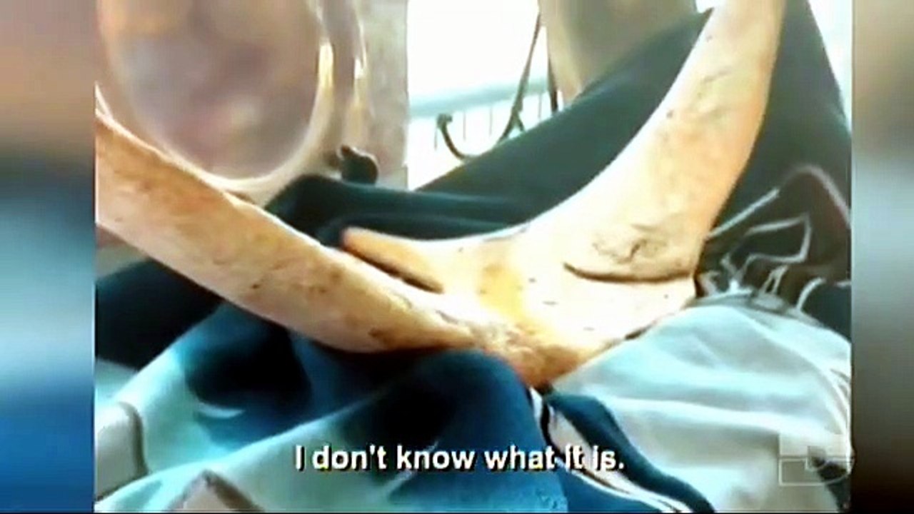 PARANORMAL SUR LE VIF  2     2026