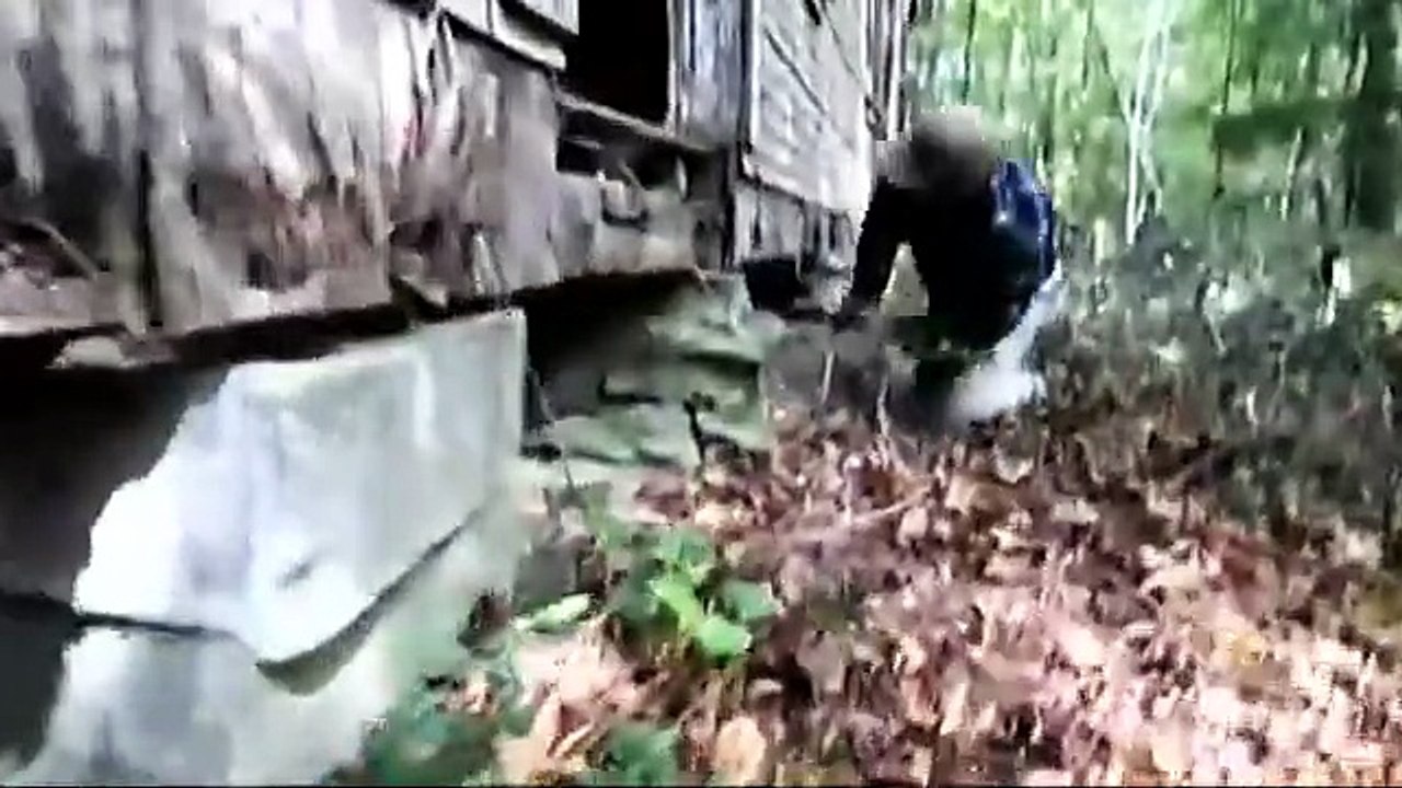 PARANORMAL SUR LE VIF  6