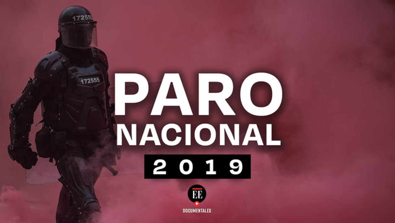 Paro Nacional De 2019, la protesta social que sacudió a Colombia