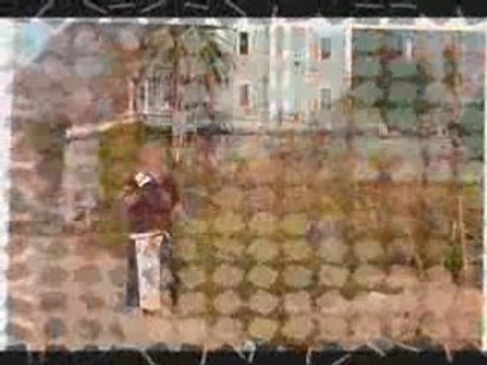 Desert Alger la Blanche et sa casbah