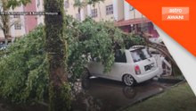 Kereta rosak dihempap pokok di Seri Kembangan, Putrajaya