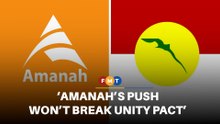 Amanah’s push for Umno-held seat won’t break unity pact, say analysts