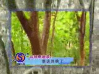 Monkey with a death wish