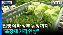 전쟁 여파 상추 농장까지..."포장재 오르고 수요 줄어" / YTN