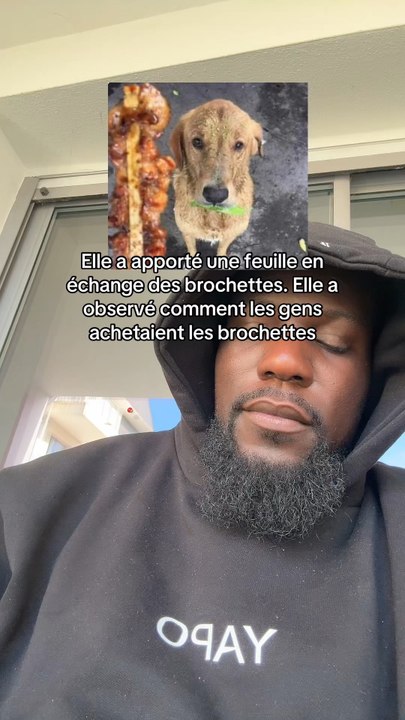 Malinx le linx | abonne toi (rejoins les Capuchés 🖤 lien en bio)