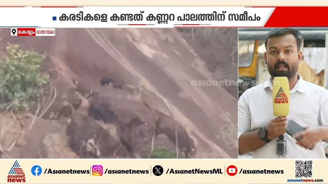 കുടുംബസമേതം കരടിക്കൂട്ടം; കൊല്ലം തെന്മലയിൽ വനമേഖലയിലെ പാറയിൽ കരടി തുടരുന്നു | Kollam | Bear