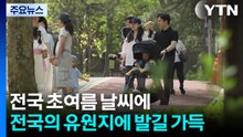 전국 초여름 날씨에 '꽃밭'과 '동물원'마다 발길 가득 / YTN