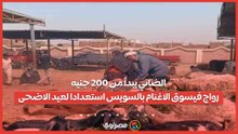 الضاني يبدأ من 200 جنيه.. رواج في سوق الاغنام بالسويس استعدادا لعيد الاضحى