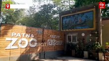 पटना चिड़ियाघर में बनेगा ट्री टॉप वॉक-वे, 9.81 करोड़ के इंफ्रास्ट्रक्चर डेवलपमेंट योजना की स्वीकृति