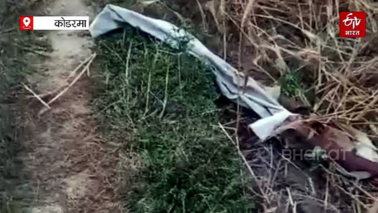 कोडरमा में जंगली हाथियों का हमला, युवक को पटक-पटक कर मार डाला, वन विभाग के प्रति लोगों में आकोश