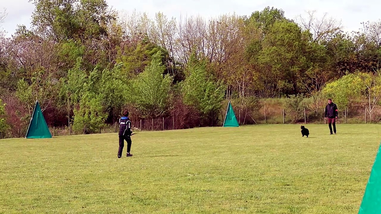 MVI_3199