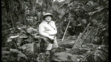 Africa Screams (1949)